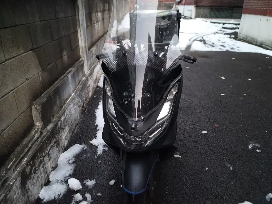 PCX 21년식 대차 구합니다